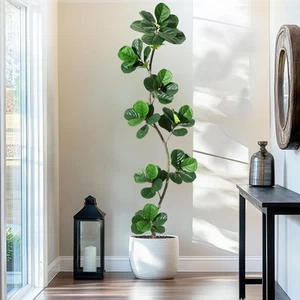 Artificial Fiddle Leaf Fig Tree - 7FT Fake Plant with Black Nursery Planter, ... - Picture 1 of 6