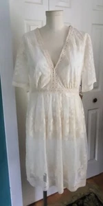 Haute Monde Floral Lace Dress Medium Ivory Plunge V Neck Shear Short Sleeves - Picture 1 of 8
