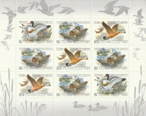 FAUNA: DUCKS 1989 MINIATURE SHEET Sc 5785a (2x5k, 3x20k, 4X15k) - Picture 1 of 2