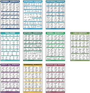 10 Pack - Exercise Workout Poster Set - Cable Machine, Dumbbell, Suspension, Ket - Picture 1 of 12