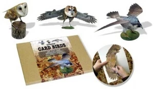 Flights of Fancy Card Birds of Prey. Three Dimensional Card Birds - Picture 1 of 1