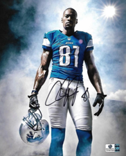 calvin johnson signed football