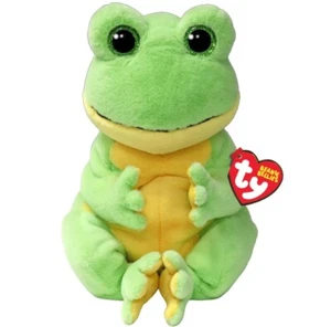 Ty Beanie Bellies Buddies Snapper the Frog 9 Inch Medium Plush Soft Toy BNWTs - Picture 1 of 1