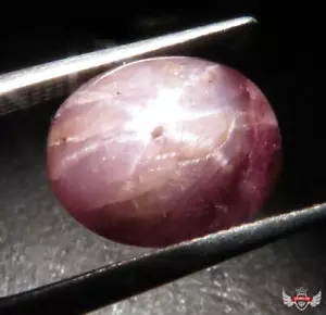 8.085ct. UNGEHEIZTER STERNRUBIN - MYANMAR - Bild 1 von 5