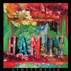 Hands Synesthesia (Vinyl) 12" Album