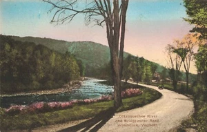 Bridgewater Rd Woodstock VT Ottauquechee  Hand Colored Albertype Postcard K610 - Bild 1 von 2