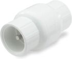 Nds 1011-10 1" Pvc Ips Spring Check Valve S By S 5-1/4" New