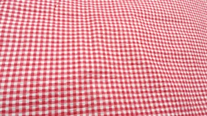 Gingham Seersucker Rose Stoff/Material knackige Baumwolle/Mischung 4 Yard Handwerk Bekleidung - Bild 1 von 2