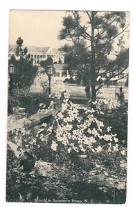B&W March in Southern Pines NORTH CAROLINA Postcard NC Seaboard Air Line Railway - Picture 1 of 2