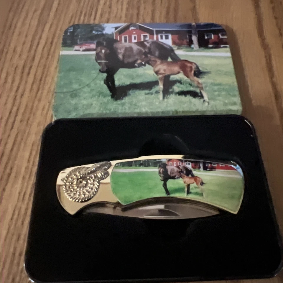 Collectible Knives with Display Case - Image 1 of 1