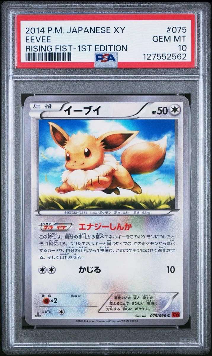 イーブイXY3 1ed psa10 2014 EEVEE 075/096ポケモン Eevee Pokémon TCG