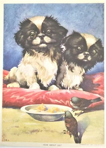 Japanese Chin Puppy Print, 1941 Lithograph - Bild 1 von 4