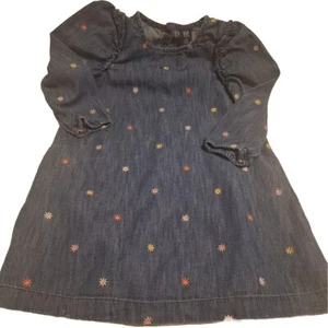 Gap Toddler Girls Blue Denim Chambray Embroidered Long Sleeve Dress Size 4T - Picture 1 of 8