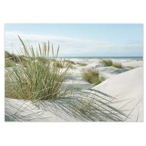 100 Tischunterlagen mit Dünen Motiv I Meer I DIN A3 eckig I dv_1085 - Bild 1 von 6