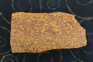 Coquina, Script Stone, Calligraphy Jasper Slab - 100  Grams - Fossilized Shells - Picture 1 of 8