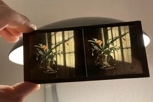 Rare & Antique Autochrome Stereoscopic Still Life Light 1930's - Picture 1 of 2