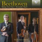Ludwig van Beethove Beethoven: String Trio Op. 3/Serenade Op.  (CD) (US IMPORT)