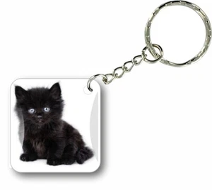 Keychain key ring keyring car motorcycle housse cat funny cute kitten paw r2 - Picture 1 of 1