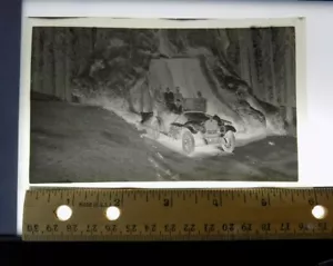 2 Antique Film Negatives - Antique car Driving through a Tunnel in a Tree - Ford - Picture 1 of 6