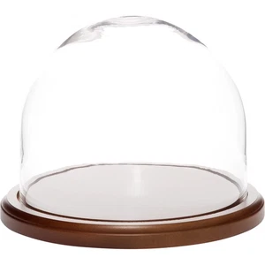 Cúpula de exhibición de vidrio Plymor de 8 pulgadas x 6,5 pulgadas (base de madera oscura) - Imagen 1 de 2
