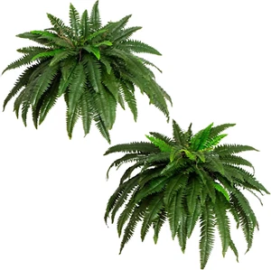 48-Inch Artificial Boston Fern – Set of 2 Large Faux Hanging Plants with 67 Fron - Picture 1 of 12