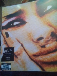 Willow Lately I Feel Everything  vinyl - Bild 1 von 2