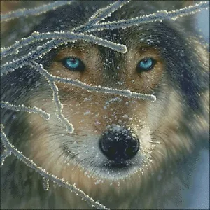 Nadelarbeit Handwerk Vollstickerei gezählt Kreuzstich Sets 14kt Schneewolf - Bild 1 von 5