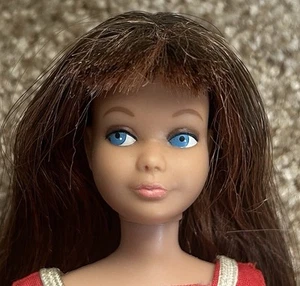 Vintage Skipper Streaked Two Toned Brunette & Titian Color Magic Hair 1964 - Picture 1 of 6