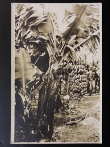MARTINIQUE The Martinique Banana - Antigua Postal RP - Imagen 1 de 2