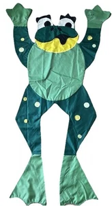 Bandiera da cantiere VINTAGE Windsport FROG 59" x 26" rara usata in ottime condizioni - Foto 1 di 9