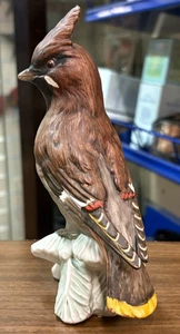 Preciosa estatuilla de cerámica Goebel Waxwing CV80 1967 de colección rara sin caja SU868 - Imagen 1 de 23