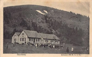 France - GASCHNEY (68) Melkerei - Laiterie - Ed. Zahneissen-Wieland - Bild 1 von 2