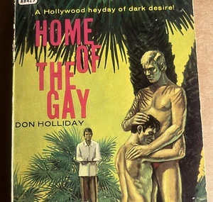 HOME OF THE G^Y- 1968 DON HOLLIDAY -MILLSAP ART? VINTAGE PULP NOVEL GAY INTEREST - Picture 1 of 3