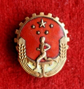 Insignia paramilitar de China. "Defensor del Sistema Popular" 1 etapa - Imagen 1 de 4