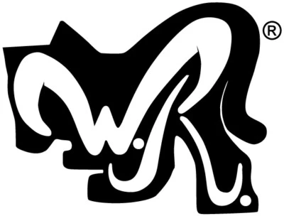 LP/LP2 - WR BUSTE pacco da 100 per VINILE 33 GIRI-LP SINGOLI E DOPPI