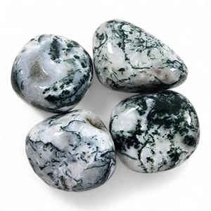 Lote de 4 piezas piedras pulidas árbol verde ágata India 79,8 gramos - Imagen 1 de 1