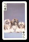 1 x playing card dog Shih Tzu ≠ 2 Spades ≠ BX046