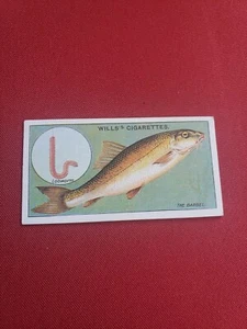 wills's cigarettes the barbel fish card - Picture 1 of 2