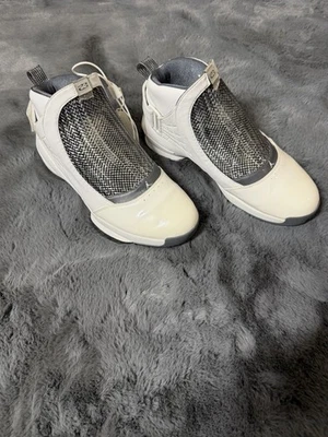 Air Jordan XIX SE 19 Talla 11 Blanco y Gris Foto 1 de 4