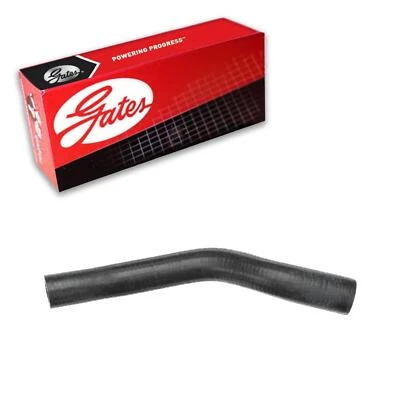 Manguera de calentador de climatización Gates Tee-2 a bomba de agua para Eagle Vision 1993-1997 Foto 1 de 3