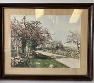 Wallace Nutting handkoloriertes Foto Ein Patriarch in Blüte 12" x 16" signiert - Bild 1 von 6