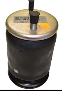 Muelles neumáticos BlackTech W01-358-5423 "Mejor garantía" - Imagen 1 de 2