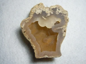Korallenstein gesägt Chalcedon Druzy Quarz Fossil alt Florida USA 93,8 Gramm - Bild 1 von 12