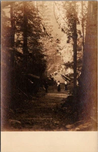 Cartolina PONTE FORESTA RPPC - Foto 1 di 2