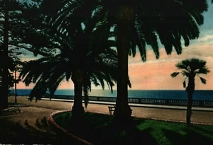 Antique (1910s) San Remo, Italy Island Colorized Photo Postcard - Picture 1 of 2