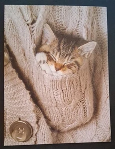 Funny Friendship Card - Picture 1 of 4