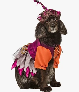 Rubie's Disney Hocus Pocus Mary Sanderson Pet Costume and Wig New (Medium) - Picture 1 of 5
