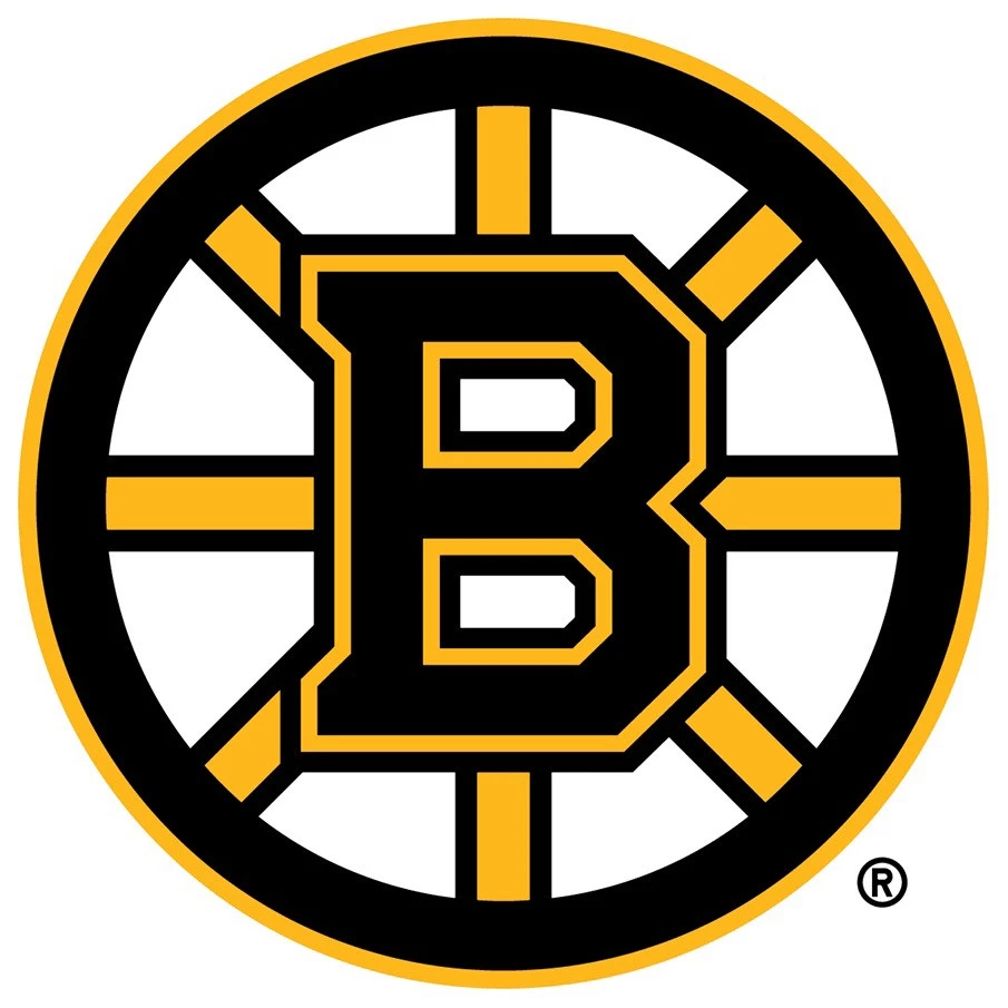 Boston Bruins Circle Logo - All Weather Vinyl Sticker/Decal NHL Multiple Sizes