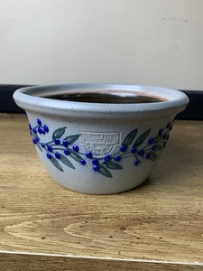 Salmon Falls Salt Glaze Pottery Stoneware 2003 Bowl Blueberry Vine Raised - Picture 1 of 10