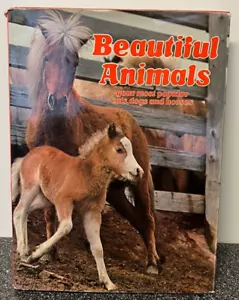 Beautiful Animals Book cats dogs horses Vintage HC fabric jacket photos 1975 - Picture 1 of 5